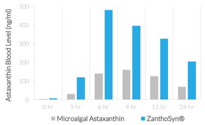 A screenshot of a cell phone
Description automatically generated